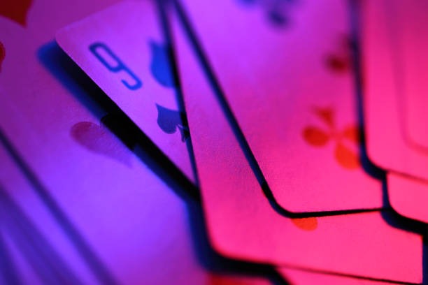 spinhoki Stakes for Every Player
